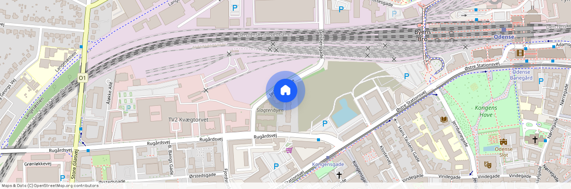 Jarlsberggade 9, 1 lejl. 4, Odense