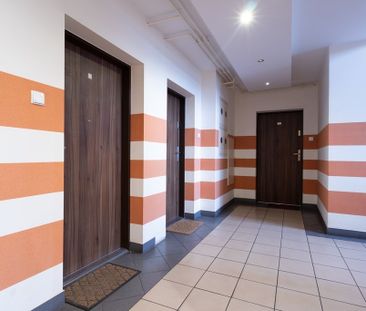 Osowa Góra, 2 pokoje do wynajęcia - Zdjęcie 6