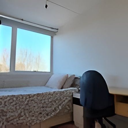 Room in a Shared Flat, International Students Or Workers, SE17 - Photo 1