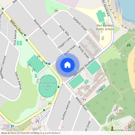 63 Reservoir Street, NSW 2505, Port Kembla