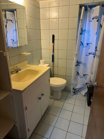 For Lease - 46 Elm Grove Avenue, Richmond Hill, Ontario - Photo 3