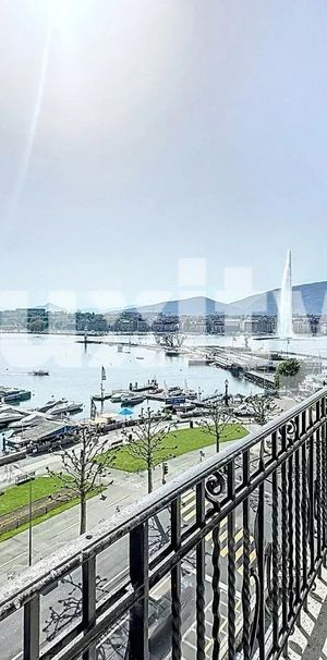 Spacieux Appartement Haussmannien avec vue sur le jet d'eau - Photo 1