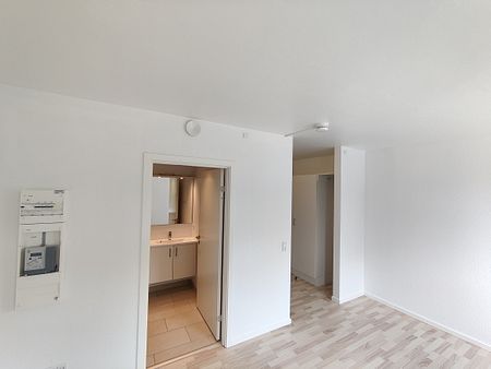 Stor, skøn lejlighed i Viborg C - Photo 4