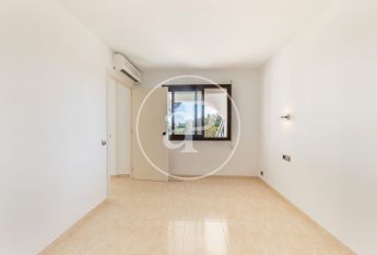 Ground floor apartment for rent in Palmanova