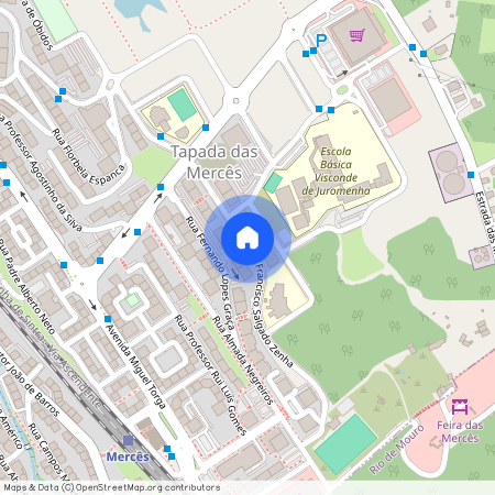 Francisco Salgado Zenha, Lisboa