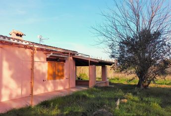 Diseminado Poligono 3, 490A, 07470, Illes Balears, Spain, Pollença, Balearic Islands 07460