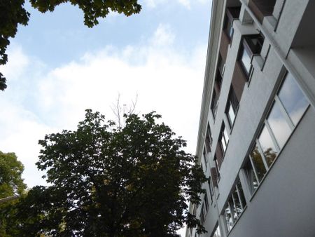 Top-sanierte, helle, super-großzügige 3-Zimmer-Neubauwohnung in der Lobmeyrgasse! - Photo 3