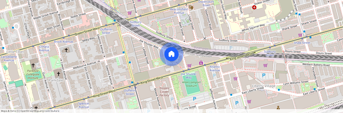 38 Joe Shuster Way, Toronto