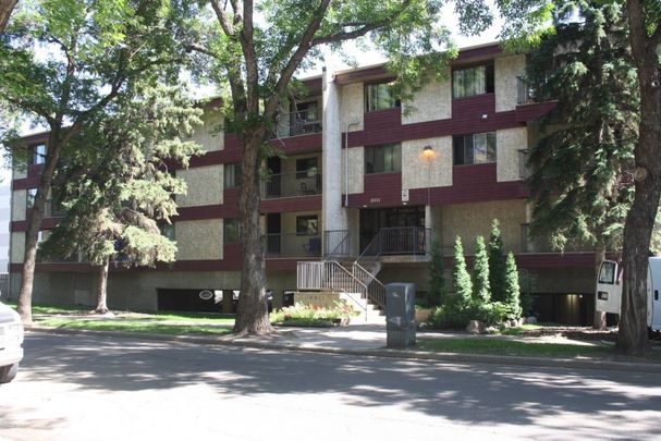 Clarke Street Apartment Rentals - Photo 1