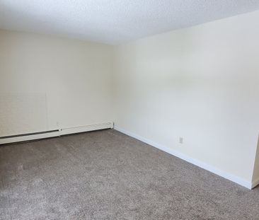 Bright, 3rd Floor 2 Bed Apartment in Quiet, Mature Neighbourhood - Photo 3