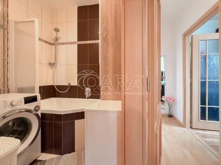 K PRONÁJMU - příjemný světlý byt 2+kk (42 m - Fotografie 3