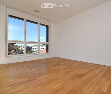 2.5 Zimmer, 49 m², 2. Stock - Photo 5