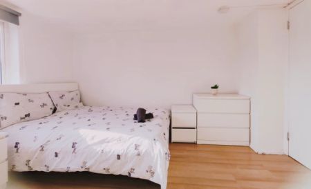 6 Bed / 3 Bath - Photo 5