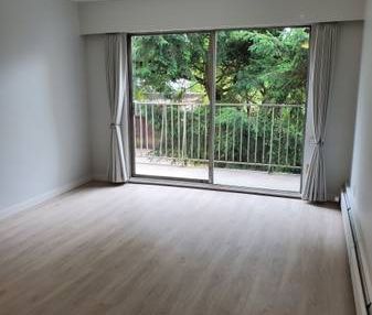 1-Bedroom Apartment-Newly Renovated: - Photo 1