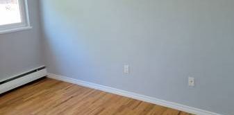 Large Bright Renovated 1 bedroom - Photo 2