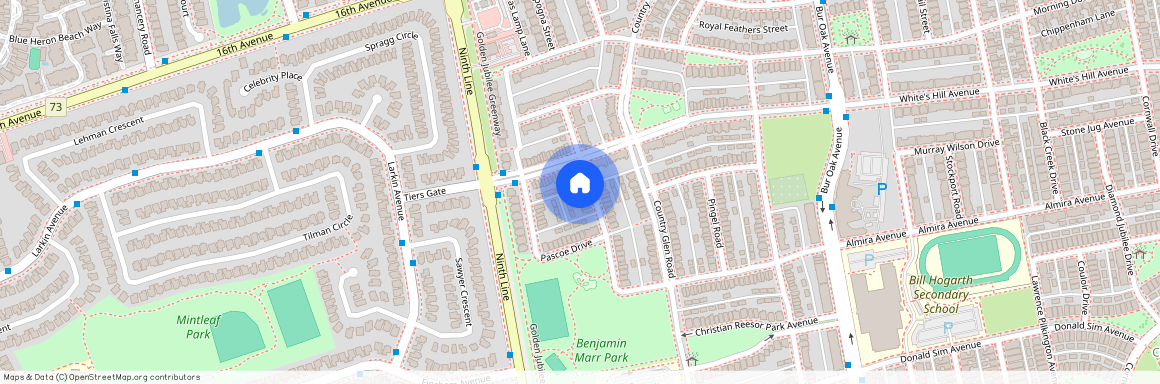 60 Gowland Road Unit# Bsmt, Markham