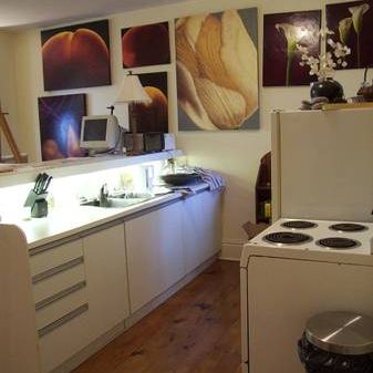 LRG AND BRIGHT 1 BDRM APT quiet st close to shops, transport and park - Photo 1
