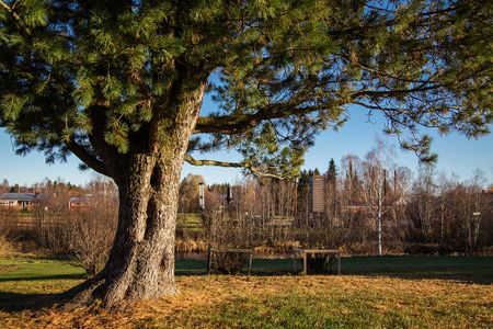 Hemvägen 6 A, 94631, Roknäs - Foto 3