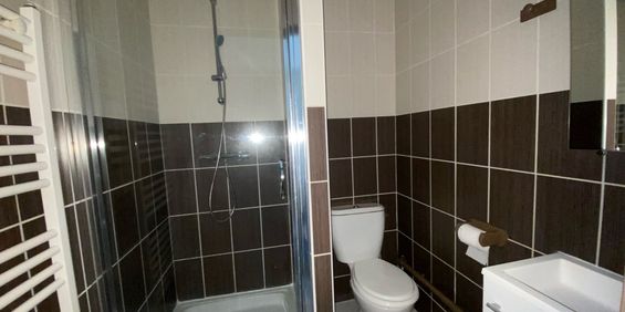 Location Appartement 2 pièces 20m² SULLY SUR LOIRE 45600 - Photo 3