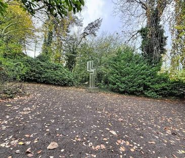 Duplex te huur - Photo 4