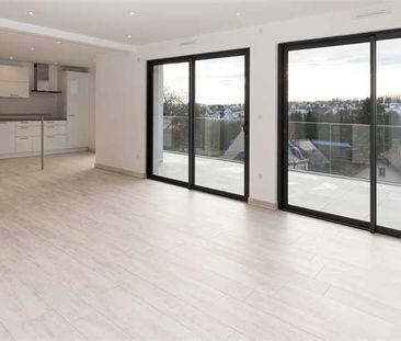 Location Appartement 105.03 M² SIERENTZ 2 400 € - Photo 3