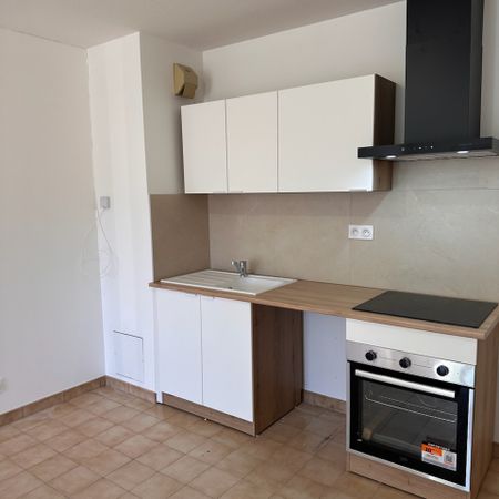 Location Appartement 2 pièces 46m² ROUSSILLON 38150 - Photo 2