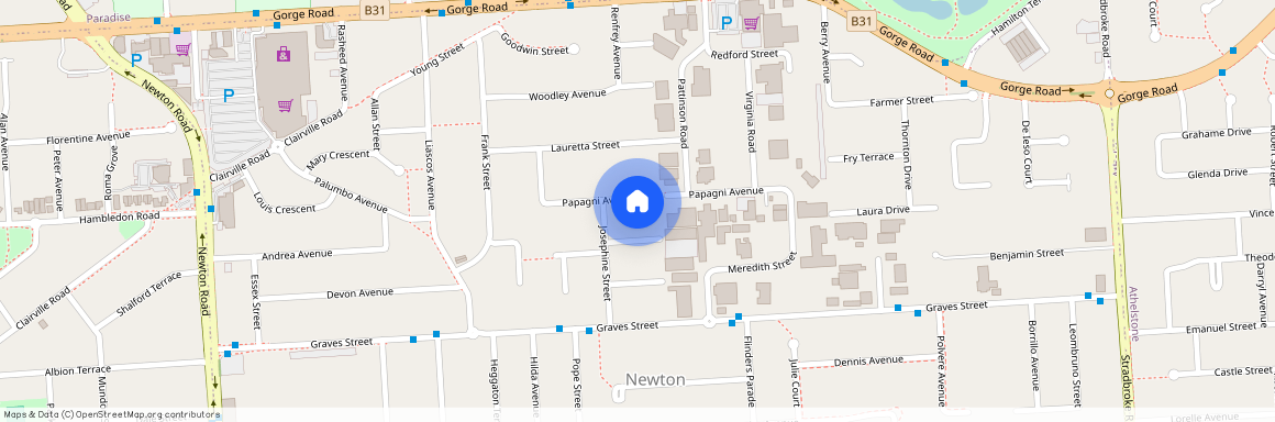 16A Papagni Ave, SA 5074, Newton