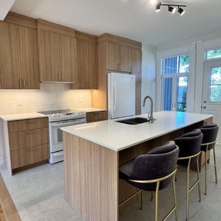 4 1/2 - Montréal (Centre-Sud) - 1 950 $/mois - Photo 4