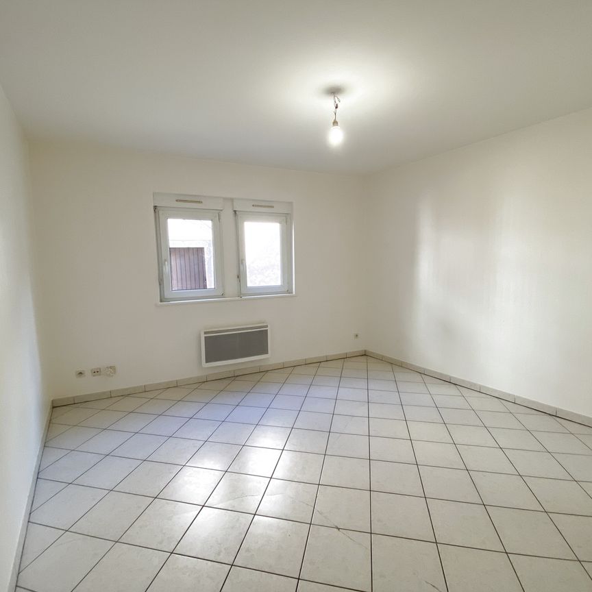 Location Appartement 1 pièce 25m² SELESTAT 67600 - Photo 1