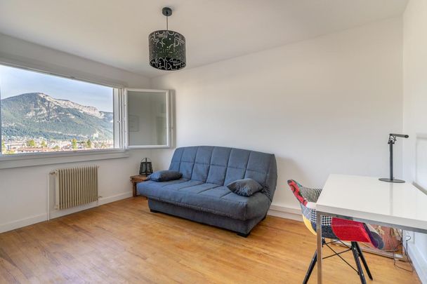 Location Appartement 1 pièce Meublé 25m² ANNECY 74000 - Photo 1