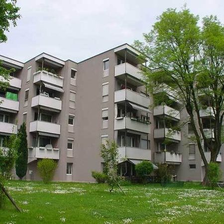 Beautiful apartment in Zurich Seebach - Photo 4