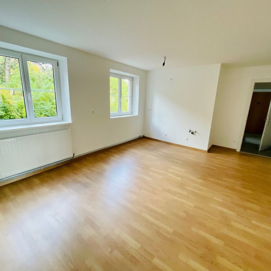 Erstbezug nach Sanierung - 2 Zimmer - Photo 1