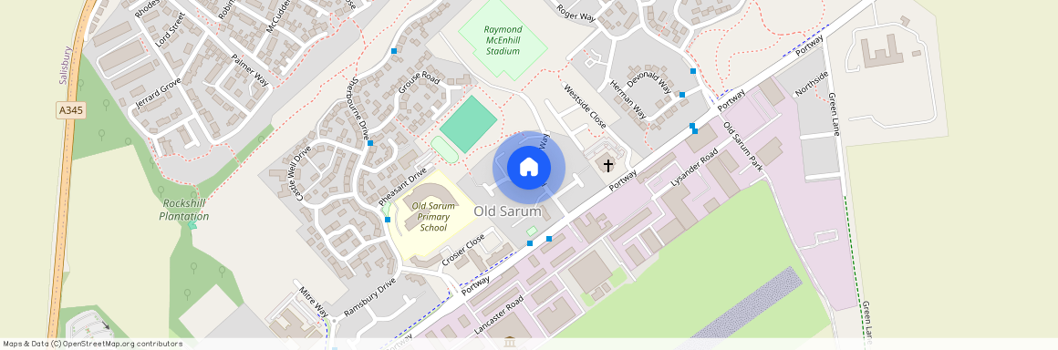 Partridge Way, Old Sarum