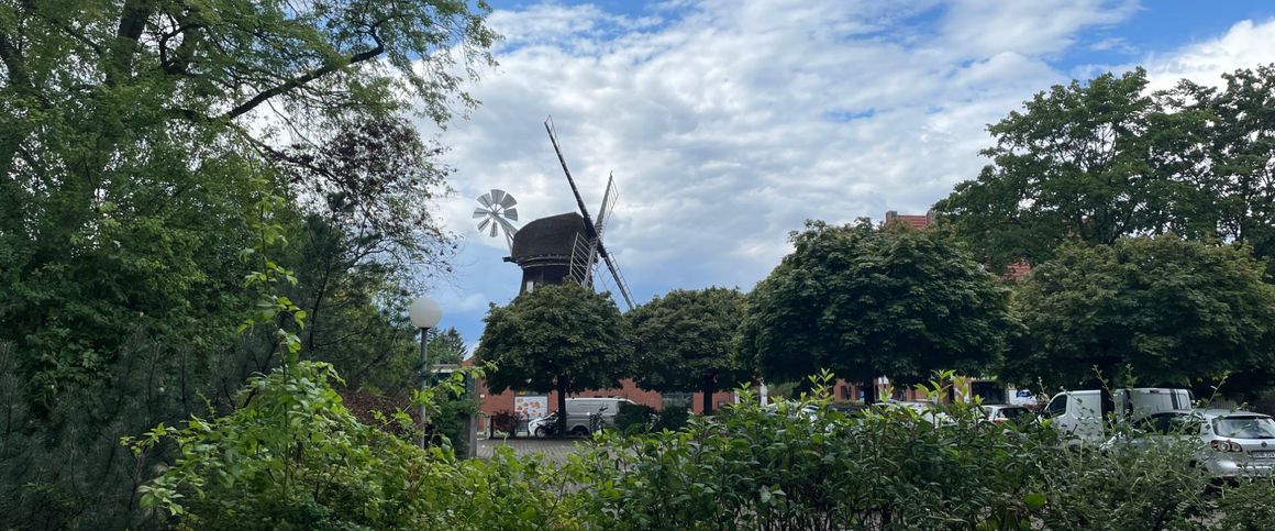 Ab nach Buckow! Singleapartment mit Einbauküche - Photo 1