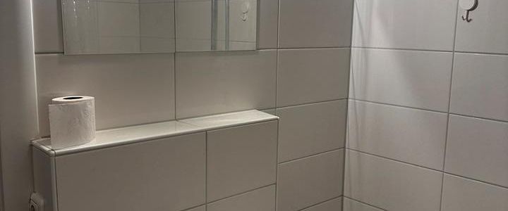 1-Zi.-Helle-Wohnung, teilmöbliert, sucht Handwerker-Nachmieter - Photo 1