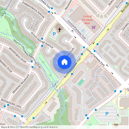 296 King Andrew Drive, Mississauga