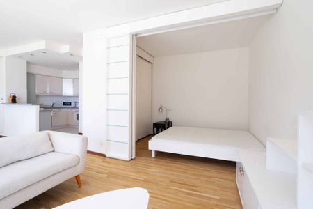 2-ROOM FURNISHED APARTMENT - Photo 4