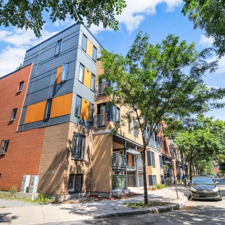 5251 Rue Philippe-Lalonde, app.3, H4C 0B3, H4C 0B3, Montréal - Photo 1