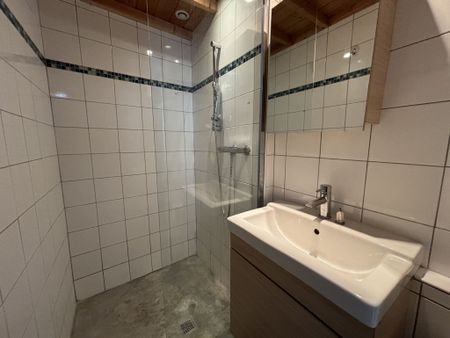 Location Appartement 1 pièce 26m² REIMS 51100 - Photo 4