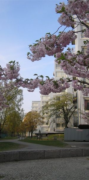 Norrby Tvärgata 16 - Photo 2