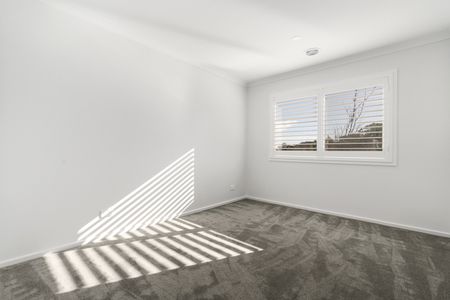 106 Creedmore Drive, Rye VIC 3941 - House For Rent | Domain - Photo 5