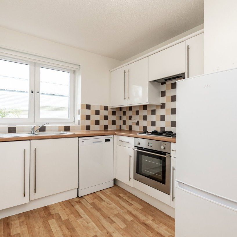 Studio Flat, Linksfield Gardens, AB24 - Photo 1