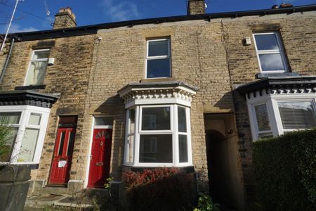 Brighton Terrace Road, Crookes, Sheffield S10 - Photo 4