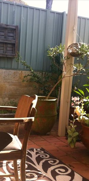 Spearwood - Photo 2