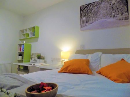 Room in a Shared House, Thimbler Road, CV4 - Photo 5