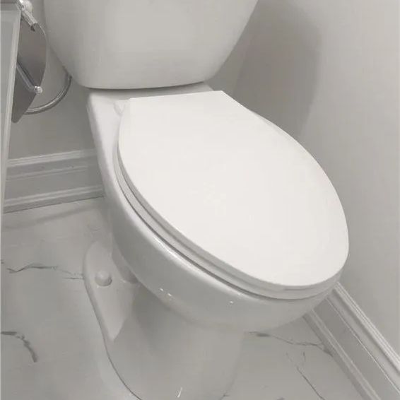 Detached Home For Lease | W9238503 - Photo 1