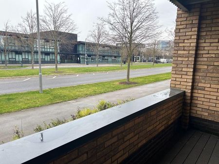 1 bedroom apartment to rent - Photo 5