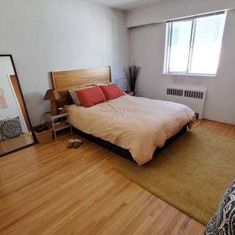 Pet Friendly Large Bright 1 bedroom available Sept 15! - Photo 3