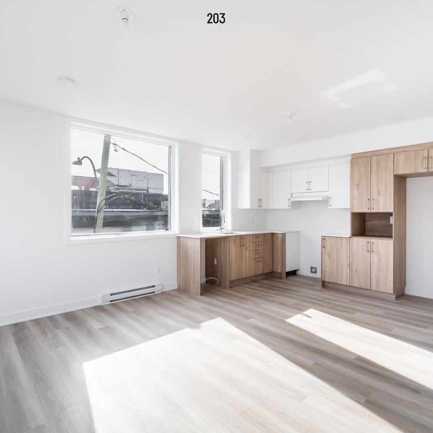 Condo for rent, Montréal (Rosemont/La Petite-Patrie) - Photo 1