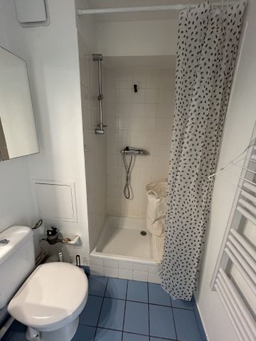 Studio Meublé 14.72m² A LOUER Grenoble - Photo 5